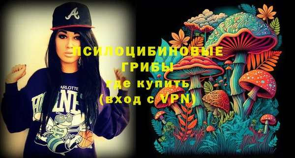 ГАЛЛЮЦИНОГЕННЫЕ ГРИБЫ Балабаново