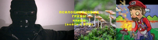 ГАЛЛЮЦИНОГЕННЫЕ ГРИБЫ Балабаново