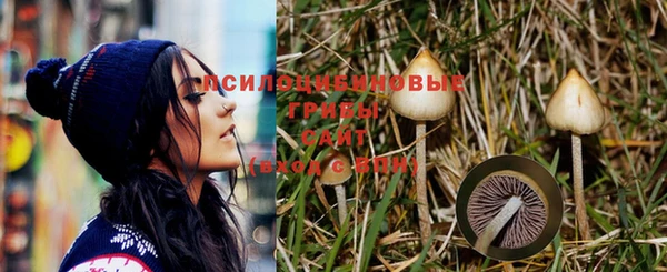 стафф Балахна